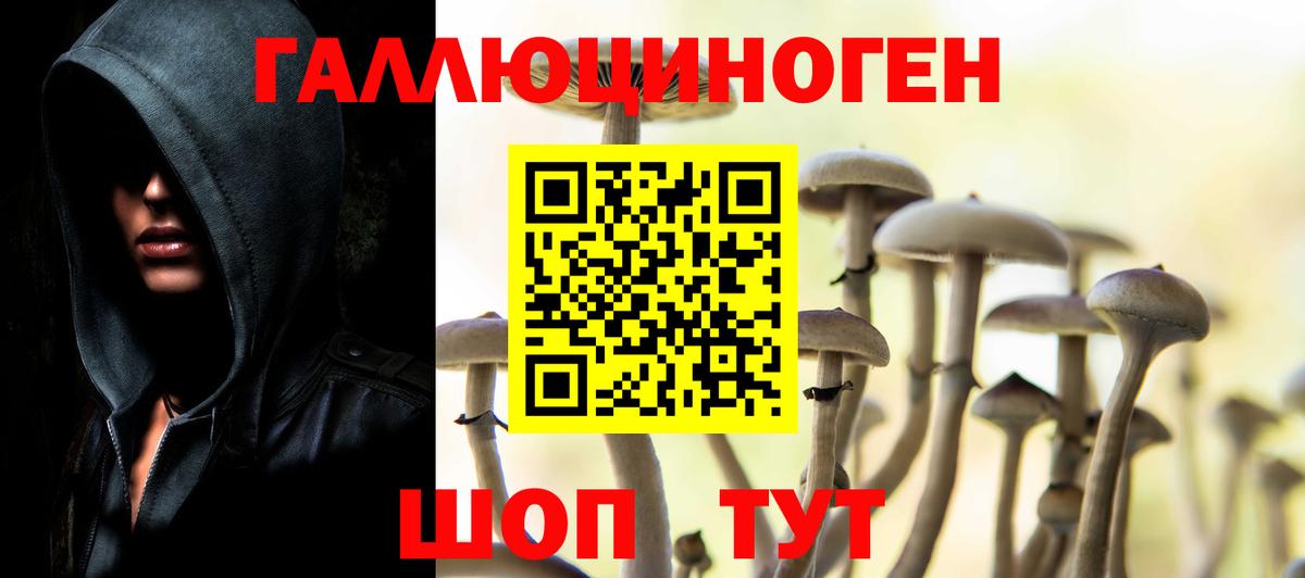 Галлюциногенные грибы ЛСД Гусь-Хрустальный